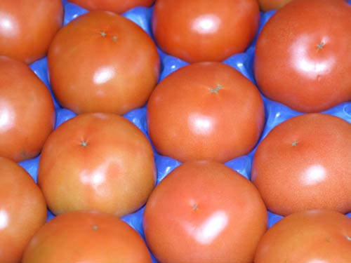 
Tomates                         